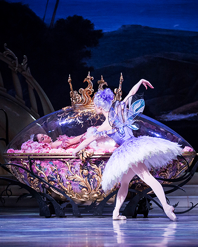 The Australian Ballet: The Sleeping Beauty cover