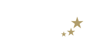 award img/sub/partner_shooting_star.png